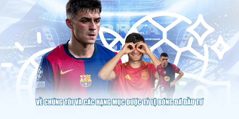 Về chúng tôi và các hạng mục được Tỷ Lệ Bóng Đá đầu tư